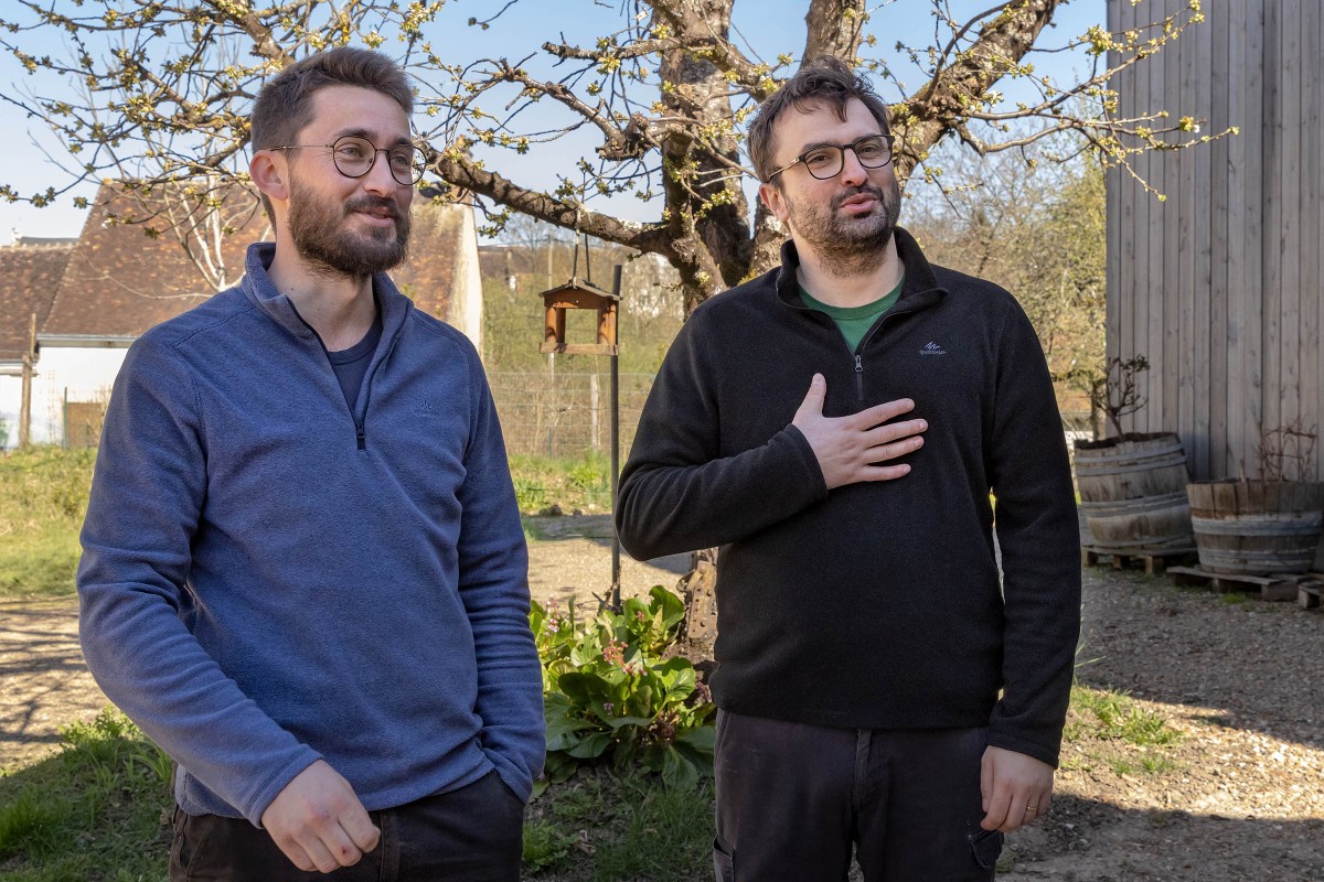 Wijnwerk, Loirewijn, Biologisch, Vendôme, Coteaux du Venômois, Patrice Colin, rode wijn, Pineau d\'Aunis, Cabernet Franc, specerijen